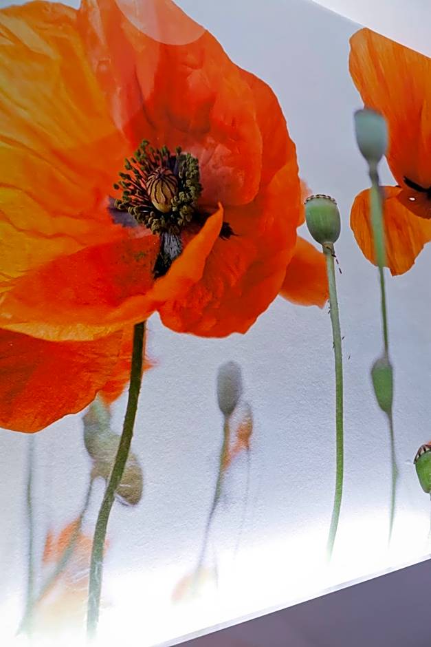 Best Western Crequi Lyon Part Dieu