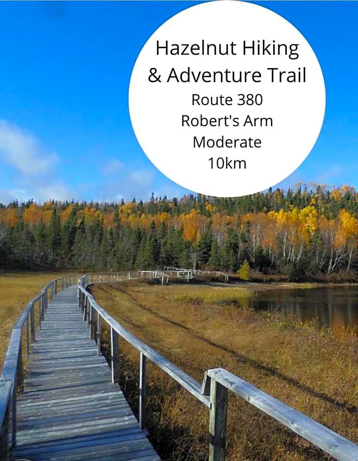 The View suites and breakfast in Triton, Newfoundland