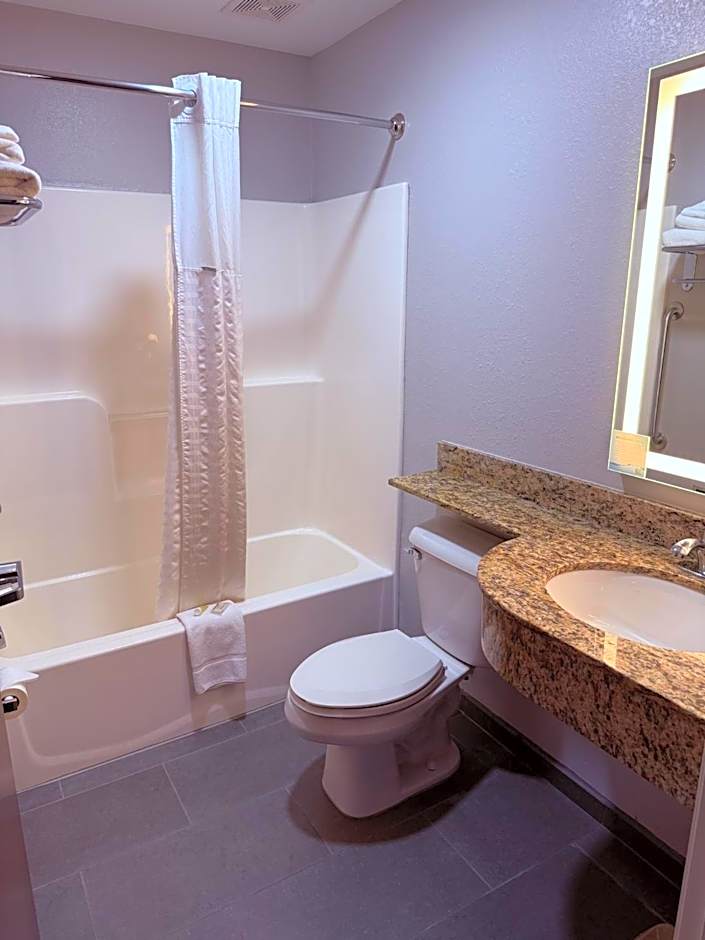 Microtel Inn & Suites - Triadelphia