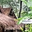 Hill Tribe Art House (Lahu & Akha Homestay)
