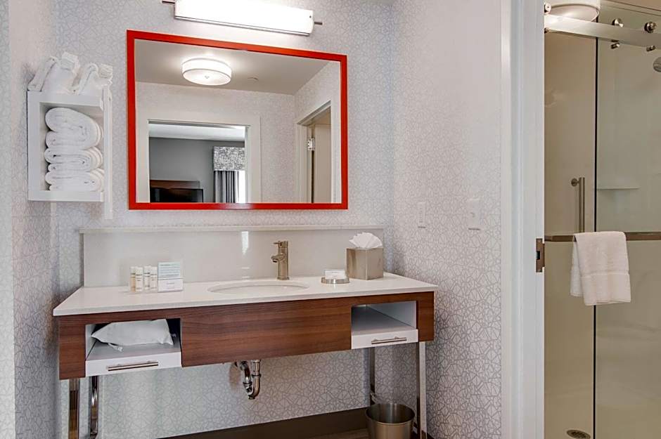 Hampton Inn & Suites by Hilton Nashville North Skyline