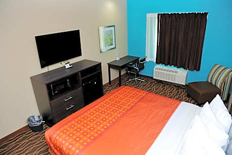 1 King Bed Non-Smoking