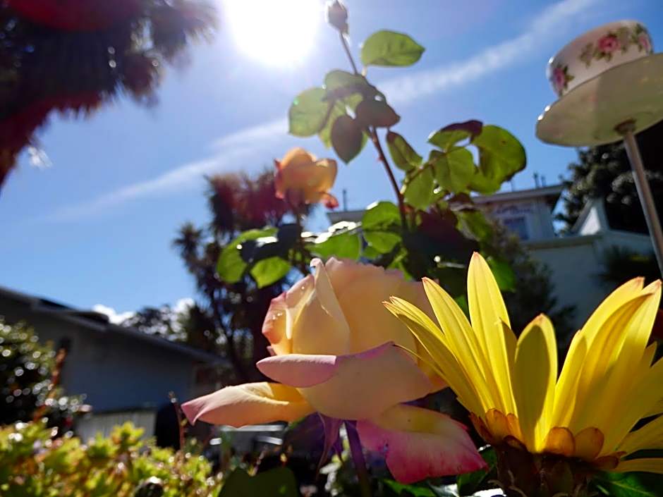 Ah House City B&B Nelson