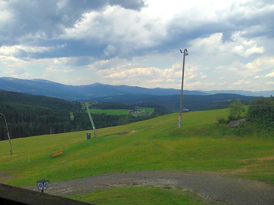 Alpengasthof Hoiswirt