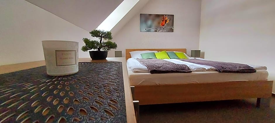 Wellness apartmány Říčky