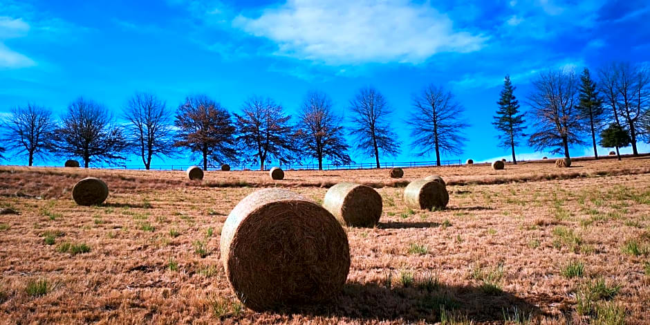 Amazian Mountain River Lodge