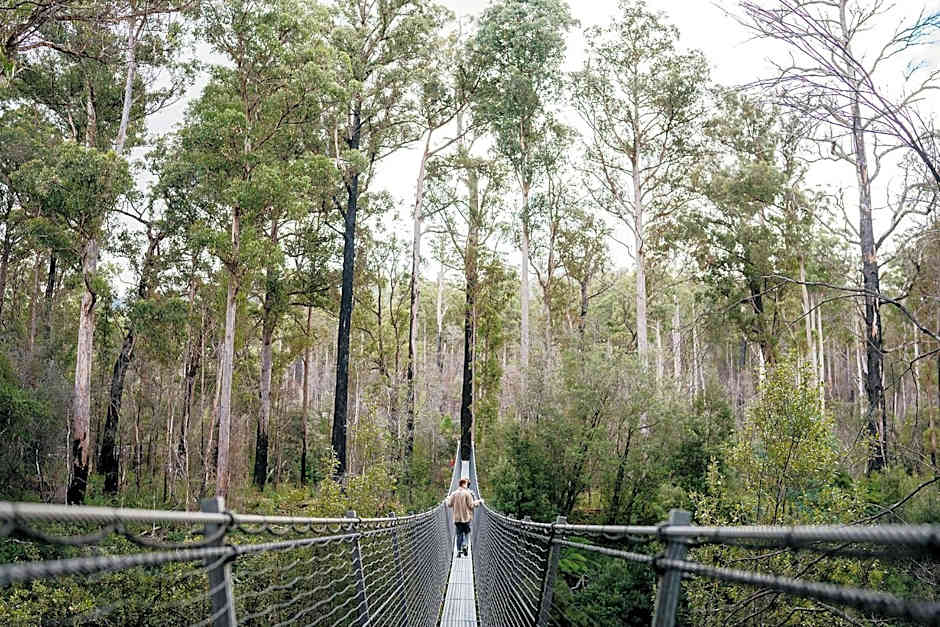 Tahune AirWalk Cabin and Lodge
