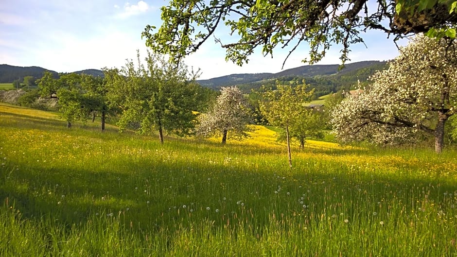 Ferien vom Ich, Bayerischer Wald, Hotel & Restaurant