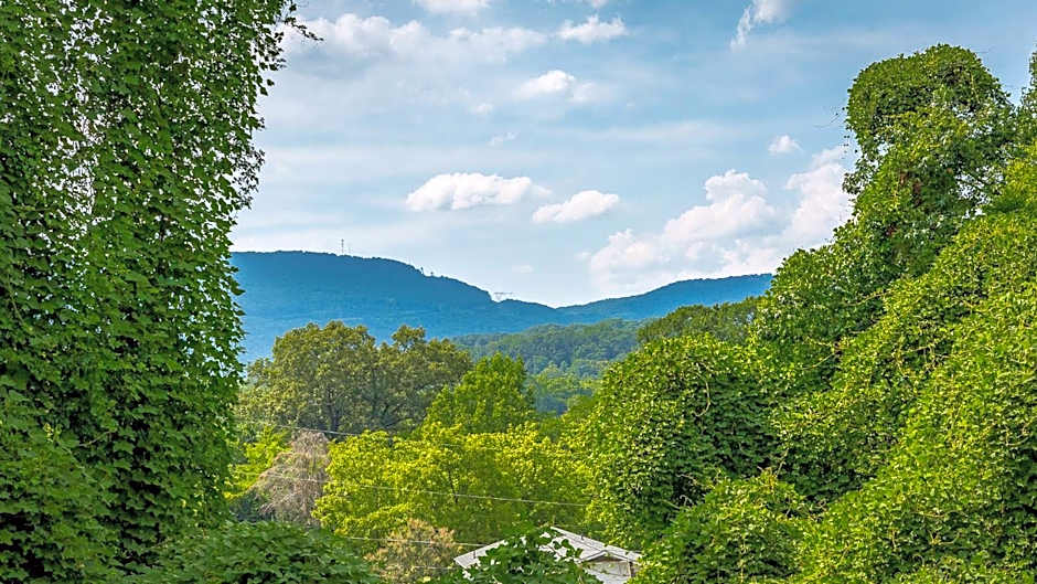 01 The Eames Suite - A PMI Scenic City Vacation Rental