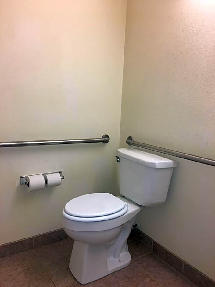 Microtel Inn & Suites By Wyndham Indianapolis Airport