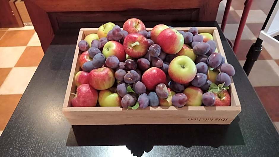 ibis Strasbourg Sud La Vigie