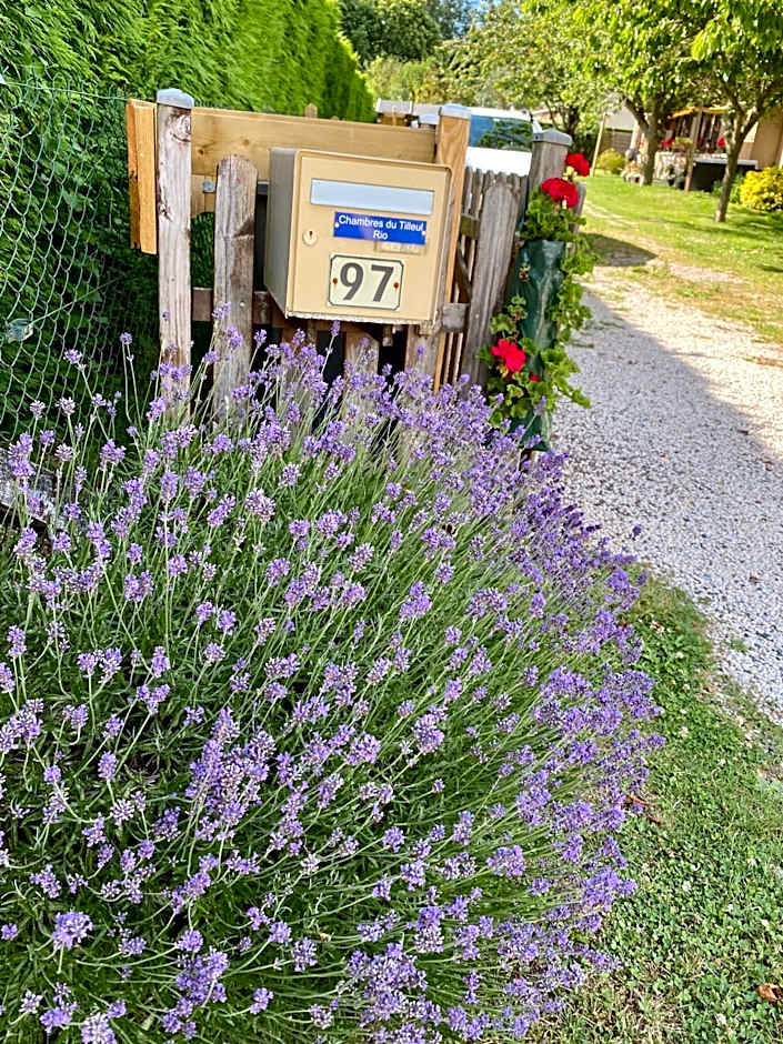 Chambres tout confort du Tilleul