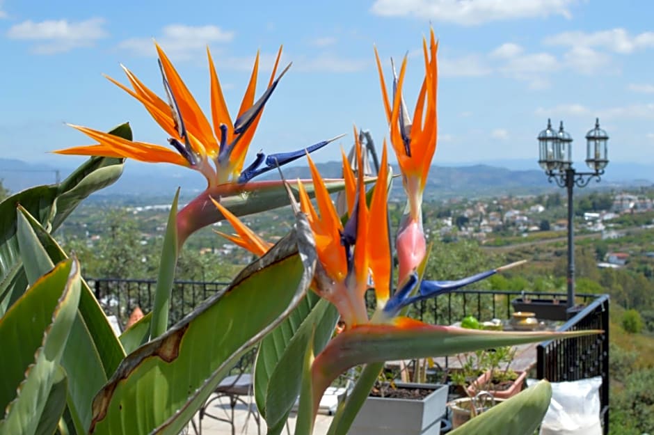 Bed And Breakfast Mirador Infinito