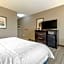 Hampton Inn Alamosa