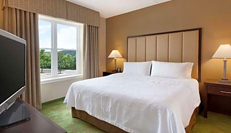 King Suite with Roll-In Shower - Mobility and Hearing Access/Non-Smoking