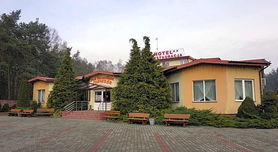 Pod Szczęśliwą Gwiazdą