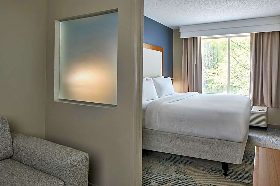 SpringHill Suites by Marriott Atlanta Alpharetta