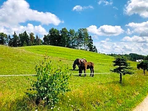 Domek Eden 1 Kaszuby balia sauna alpaki mini zoo