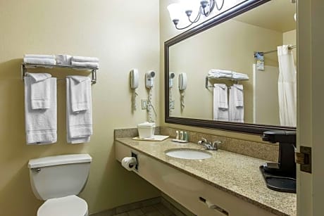 Two-Bedroom Deluxe King Suite with  Living Room - Non Smoking
