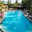 Flamingo Hotel and Spa