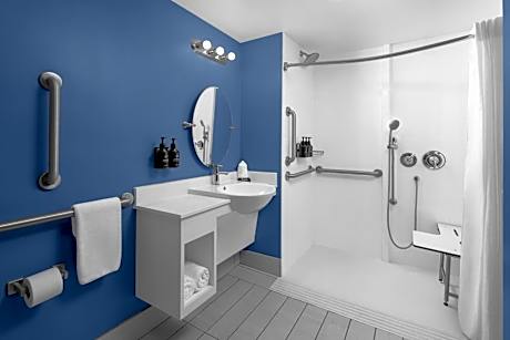 King Room with Roll-In Shower - Disability Access