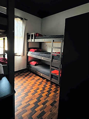 Bunk Bed in Mixed Dormitory Room