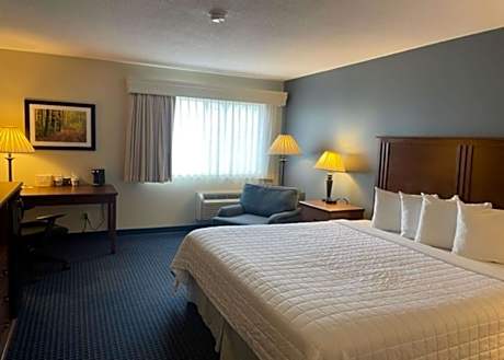 1 King Mobility Access Roll In Shower 1st Floor Microwave Fridge WiFi NSMK Continental Breakfast