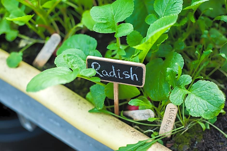 Summer Lodge Country House Hotel