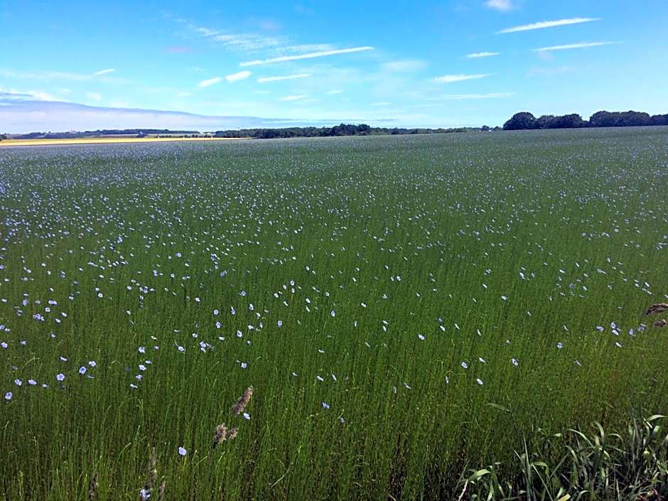 Chambre d'hôte El Dorado