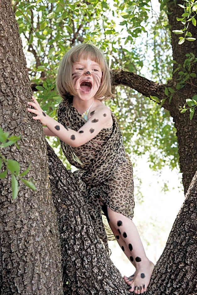 Madikwe Hills Private Game Lodge