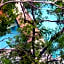 Little Gem Hotel Tulum La Veleta