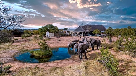 Imagine Africa Luxury Tented Camp