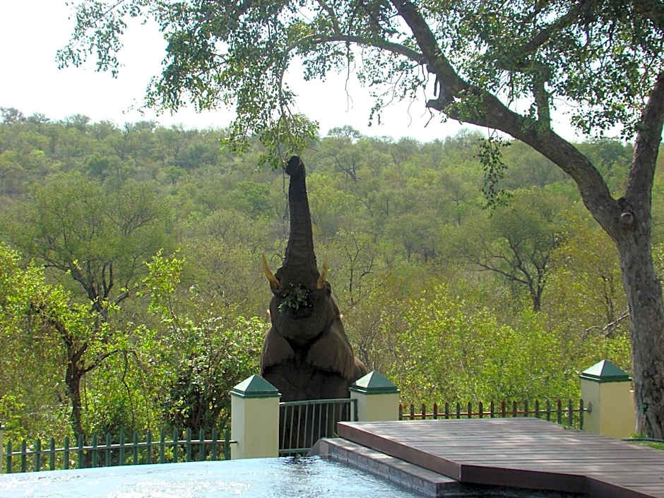 Muweti Bush Lodge