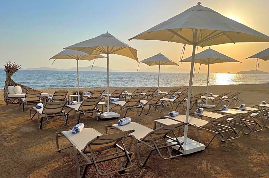 Rammos Managed By Dedeman