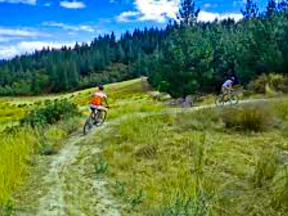 Ashleigh Court Motel