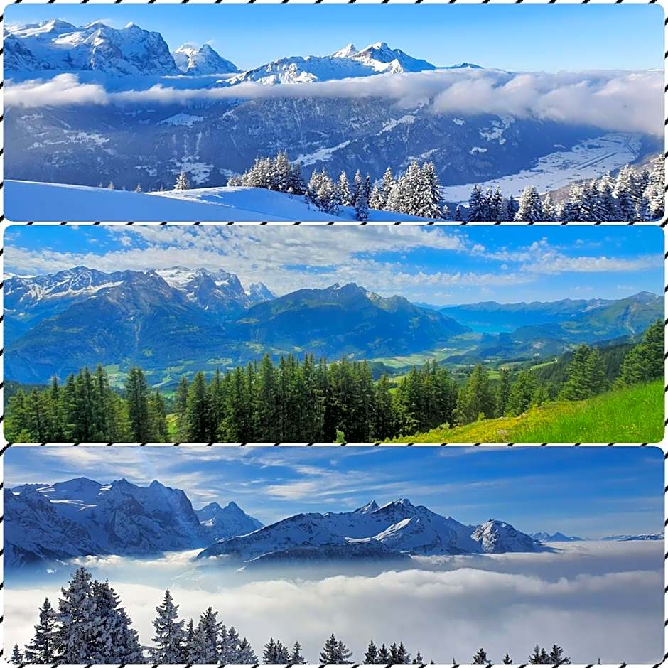 Parkhotel Du Sauvage
