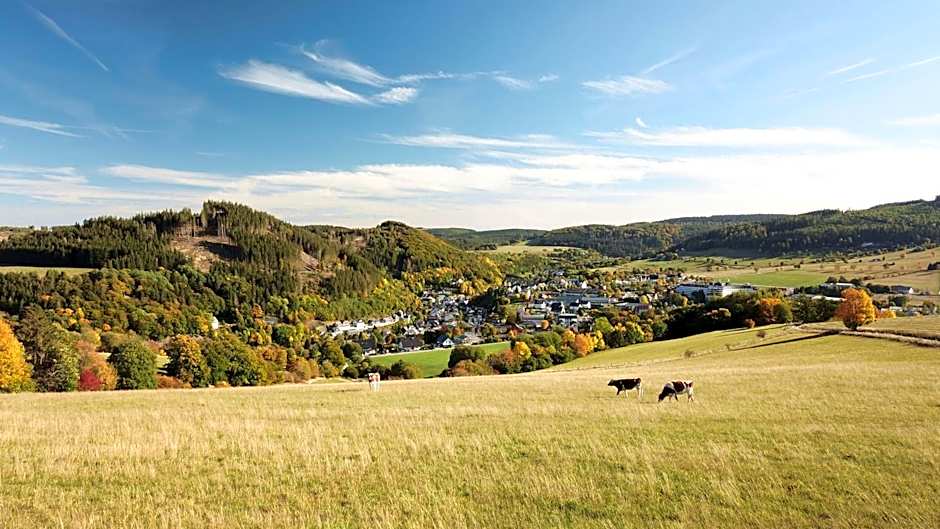 Sauerland Stern Hotel