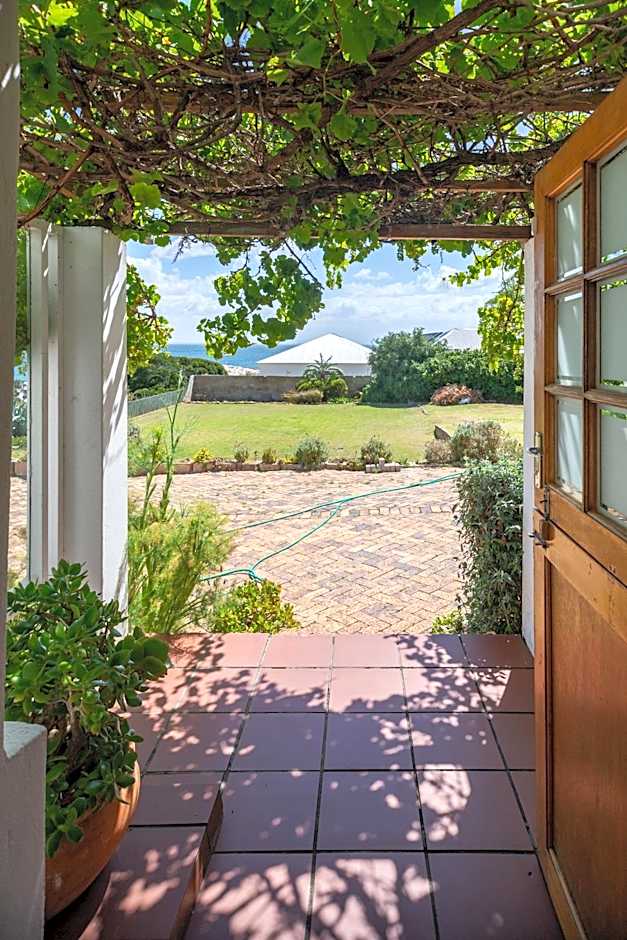 Bosky Dell on Boulders Beach