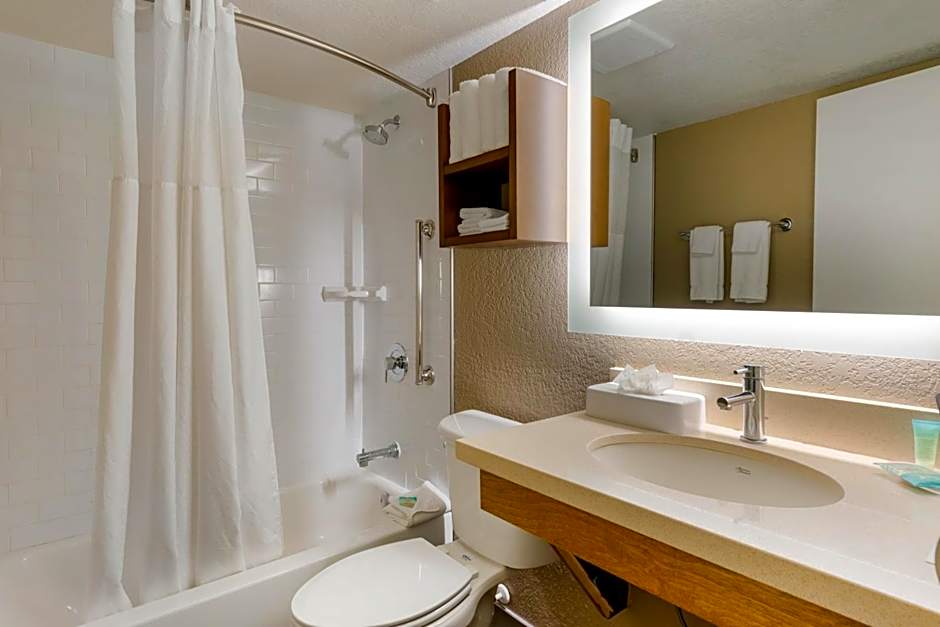 Staybridge Suites - Orlando Royale Parc Suites By IHG