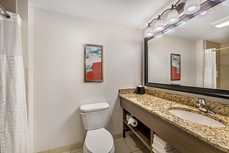One Bedroom King Suite with Sofa Bed - Non-Smoking