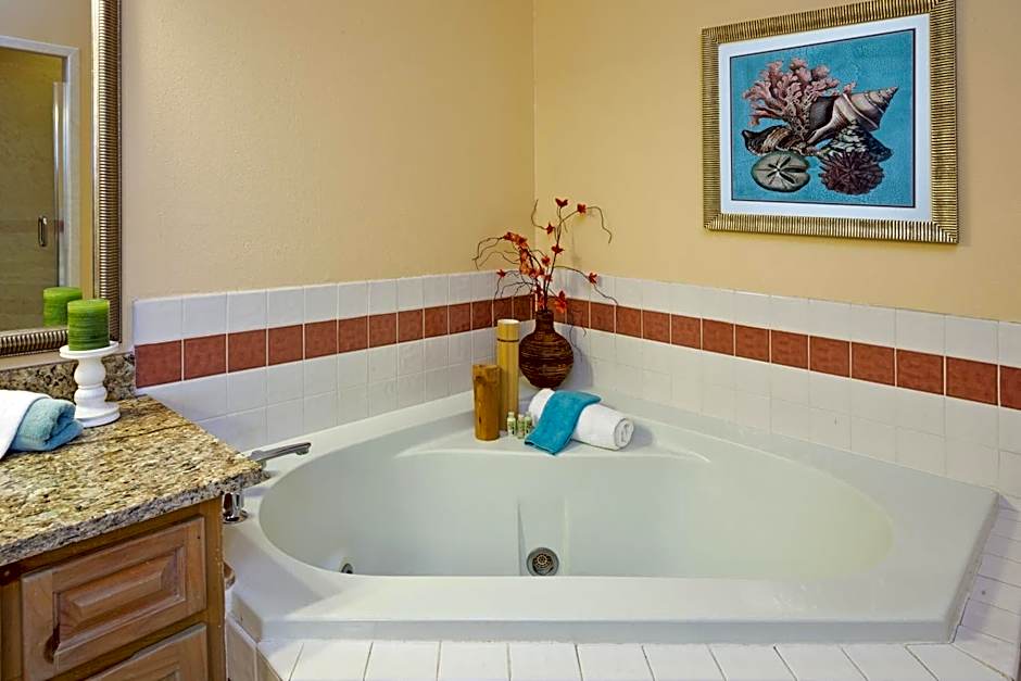 Holiday Inn Hotel & Suites Clearwater Beach South Harbourside By IHG