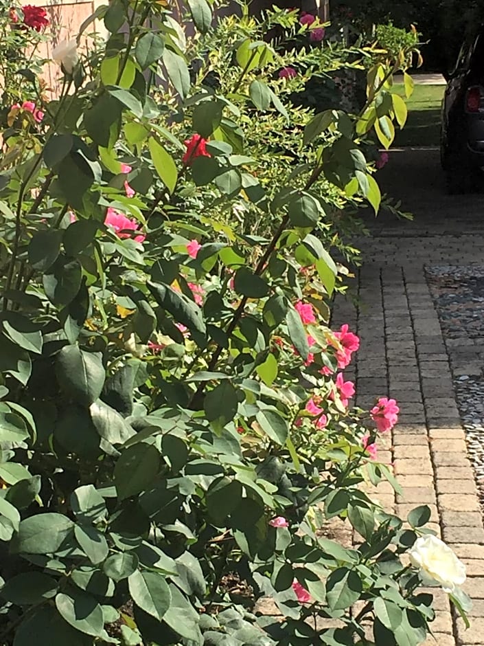 Rose Garden Mezzanine