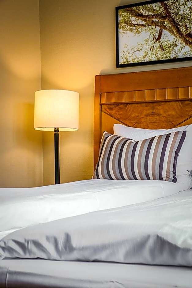 First Hotel Millennium