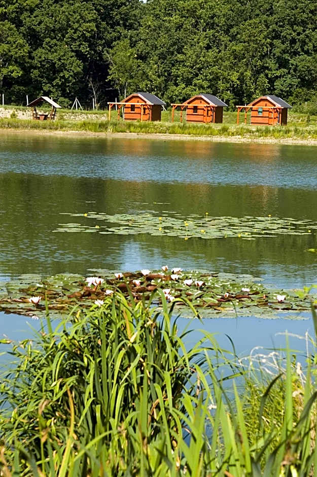 Gosztola Gyöngye-az erdő szállodája