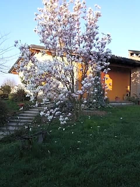 Bed & Breakfast Bellavista