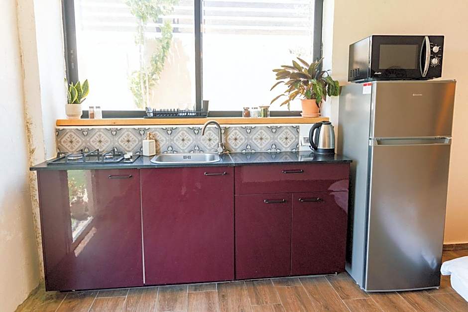 שיח מדבר לינה בנגב Burning Bush Negev