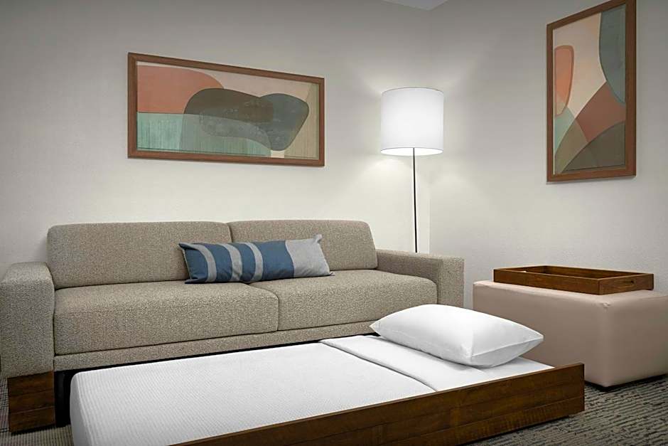 SpringHill Suites by Marriott Lynchburg Airport/University Area