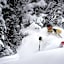 Grand Hyatt Deer Valley
