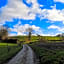 Le Moulin De Connelles