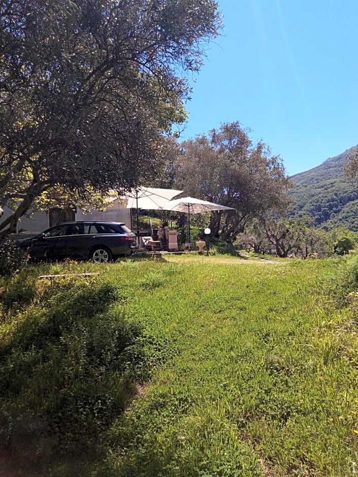 L'Antica Quercia B&B